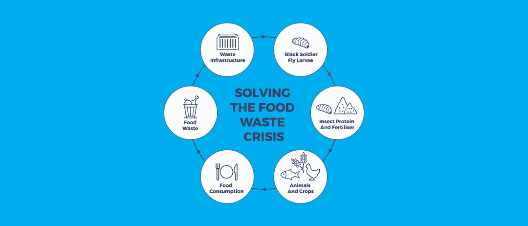 New Organic Waste Management Infrastructure